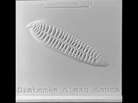 0.28mm layer, 3 walls, 10% infill