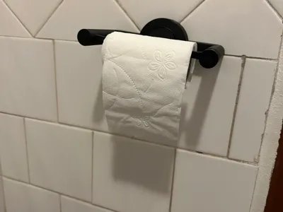 Wall-Mounted Toilet Paper Holder