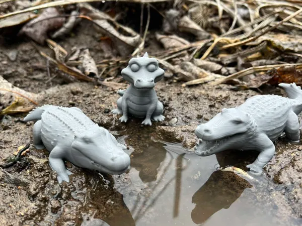 Famille d'alligators africains