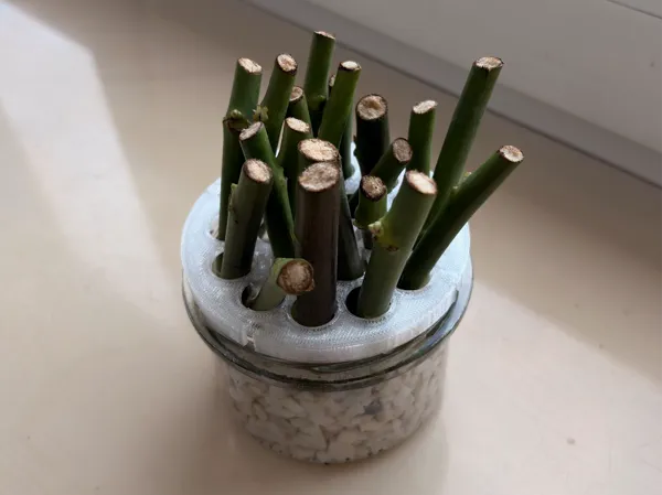 https://makerworld.bblmw.com/makerworld/model/US726f15525a0ad3/design/83e5bb4c28fc7d7b.jpeg
