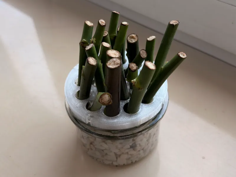 Parametric Plant Propagation Lid