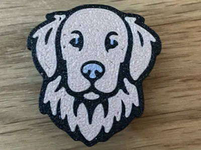 Pin Crocs Golden Retriever