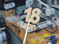 0.2mm layer, 2 walls, 15% infill
