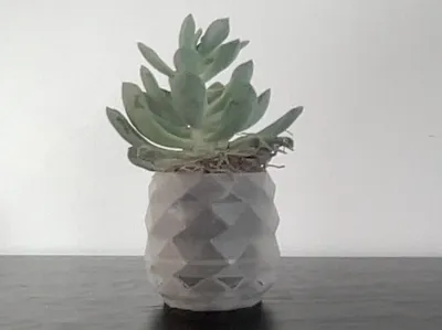 Succulent Pot (Small, Simple, 2in x 2in)