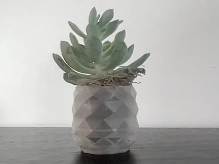 Succulent Pot (Small, Simple, 2in x 2in)