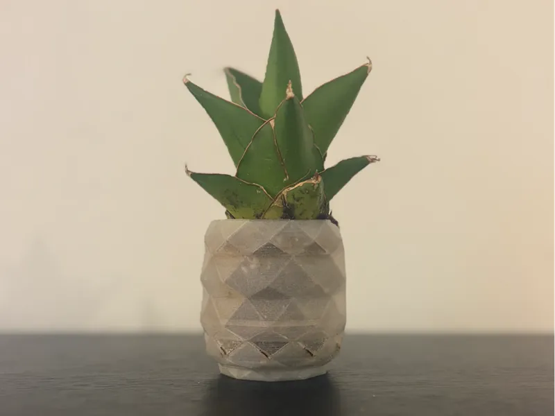 Succulent Pot 2 in x 2 in