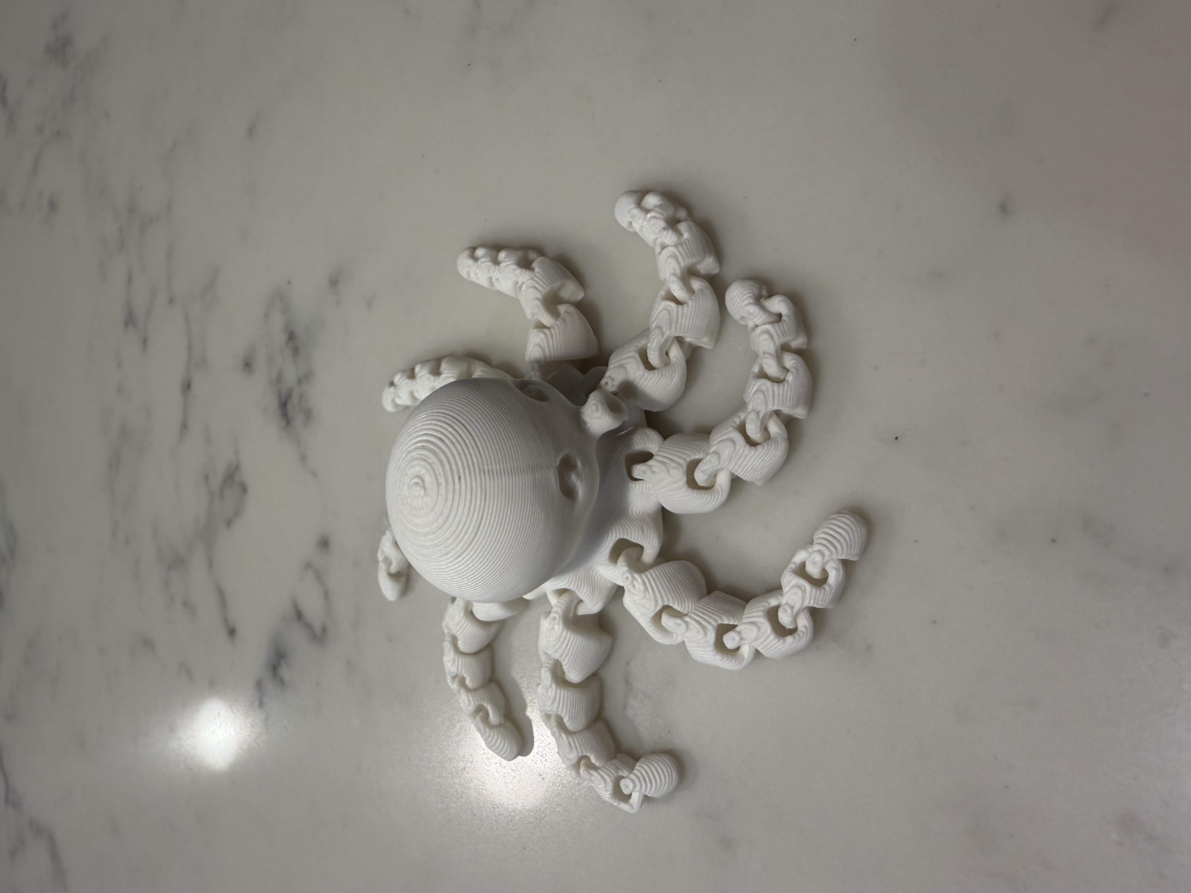 Miniatura 33 do modelo 3D Cute Mini Octopus