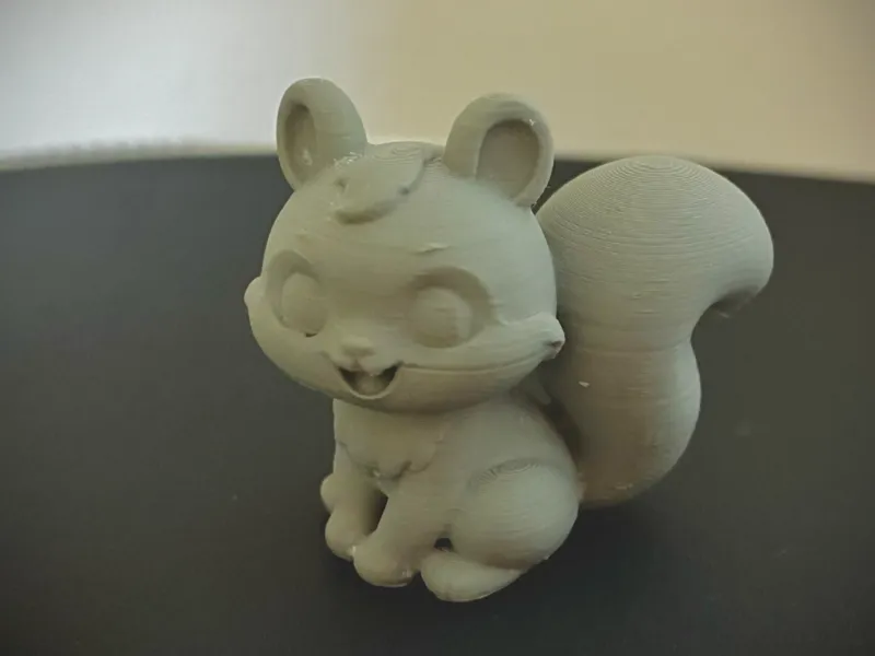 Squirrel