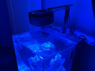 Hello Reef 15 Gallon AIO Chamber Lid