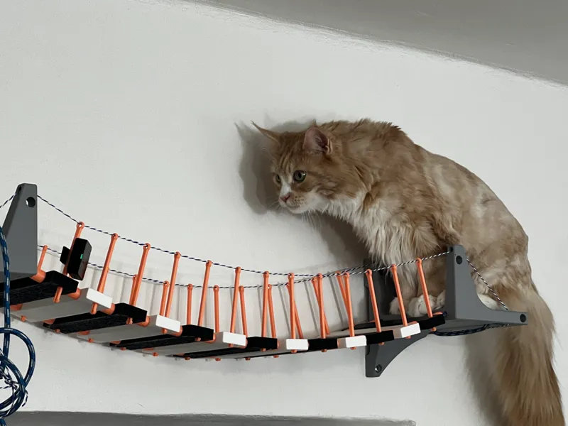 Maine Coon cat suspension bridge with step