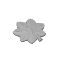 Insigne de grade US Air Force Major/Lt-Colonel — photo 3