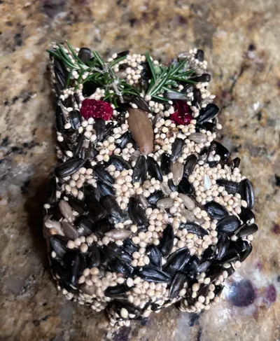bird seed owl wreath