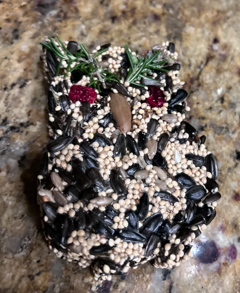 bird seed owl wreath