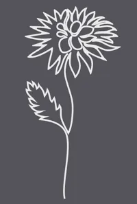 Flower 5 - 0.2mm layer, 2 walls, 15% infill