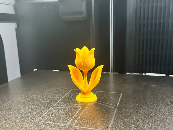 https://makerworld.bblmw.com/makerworld/model/US728a29b8228ca8/design/2025-09-05_9b74fd4281d5a8.jpg