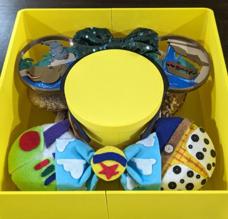 Minnie Ears Box for Travel 