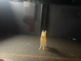 mini German Shepherd