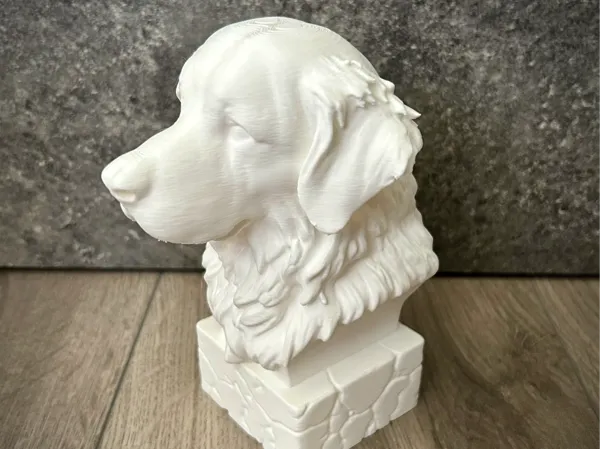 https://makerworld.bblmw.com/makerworld/model/US7294b1b27378d0/design/2025-06-01_e3b30d135d4a8.jpeg