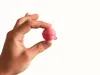 Medium Ball Container / single plate & color