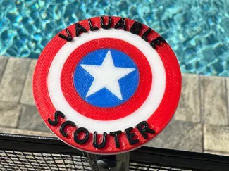 Woggle Valuable Scouter Award