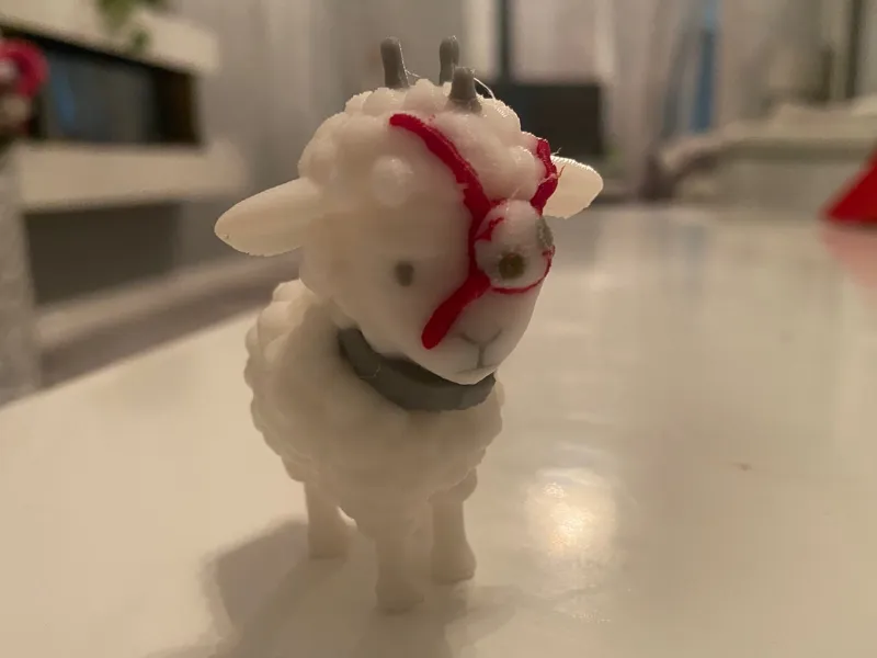 T Ocellus Sheep
