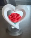 0.2mm layer, 3 walls, 5% infill