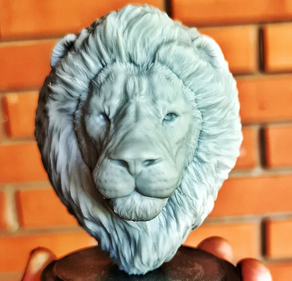 https://makerworld.bblmw.com/makerworld/model/US72a24e5eaa06c8/design/2024-10-24_8414f2b3f59c8.jpeg