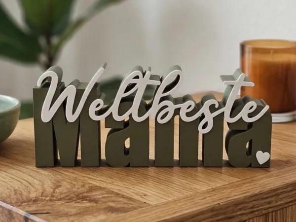 https://makerworld.bblmw.com/makerworld/model/US72a6b05c7b17e8/design/71ffc9ffd2b61f37.png