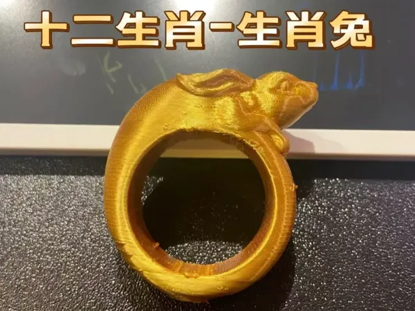https://makerworld.bblmw.com/makerworld/model/US72a90e42a5ccd0/design/2b993838-a49b-4619-9137-cf75dd8816a0.webp