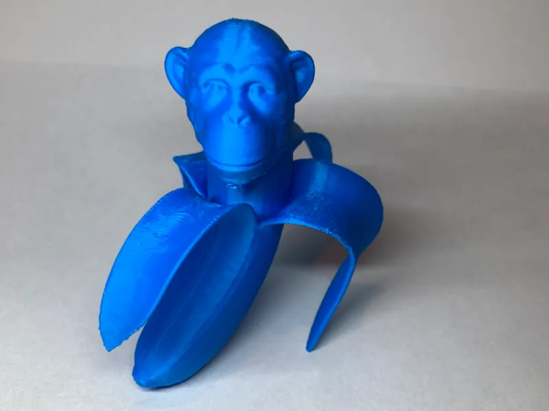 “Chimpanzini Bananini”