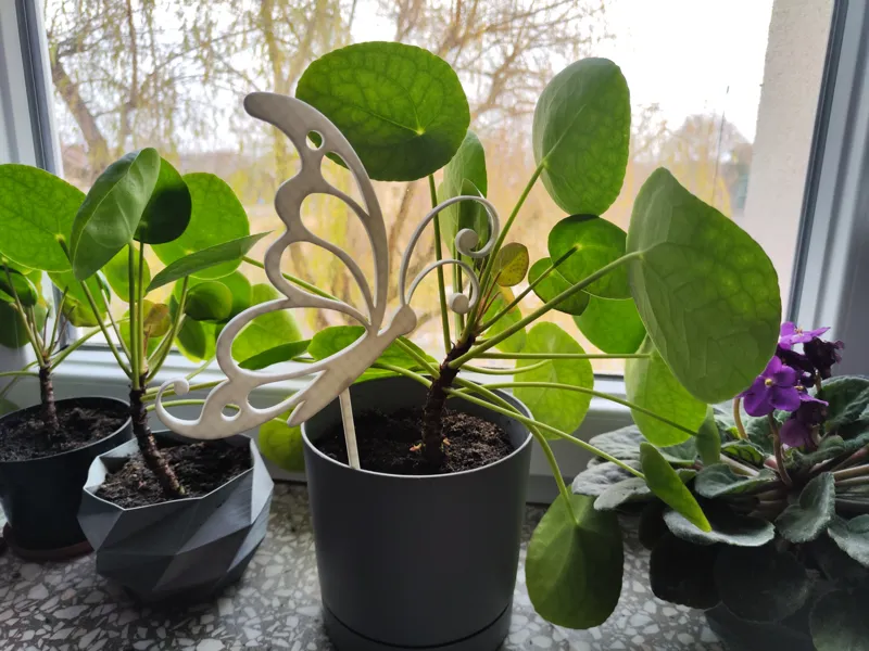 Butterfly plant topper