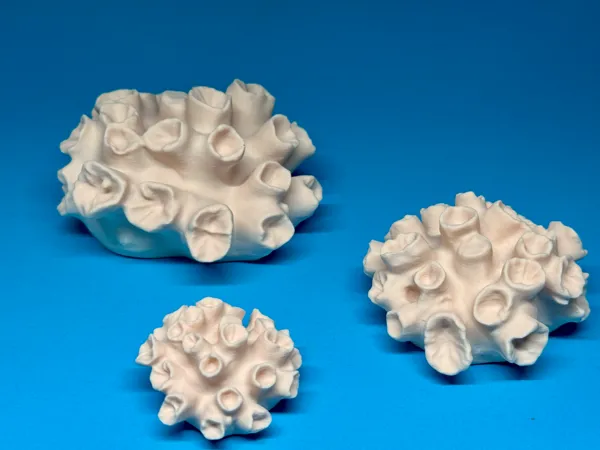https://makerworld.bblmw.com/makerworld/model/US72acbf957741c3/design/2025-07-30_03584e747a8ba.jpg