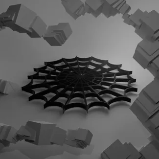 Spider Web Coaster