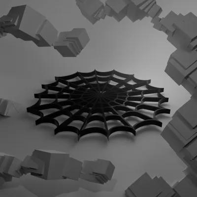 Spider Web Coaster