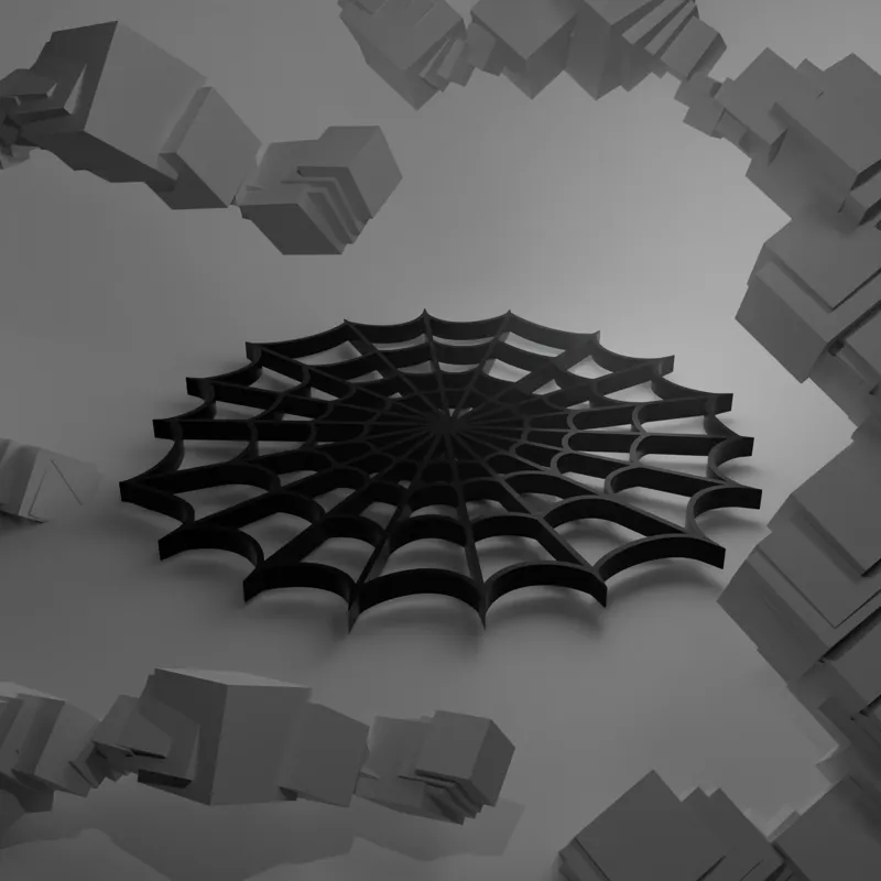 Spider Web Coaster