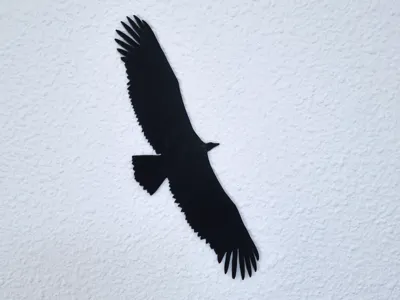 Griffon Vulture Silhouette Griffon Vulture silhouette