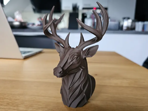 https://makerworld.bblmw.com/makerworld/model/US72ba704112e40b/design/2026-01-18_f57a343012d9b.jpg
