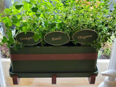 Indoor Window Box