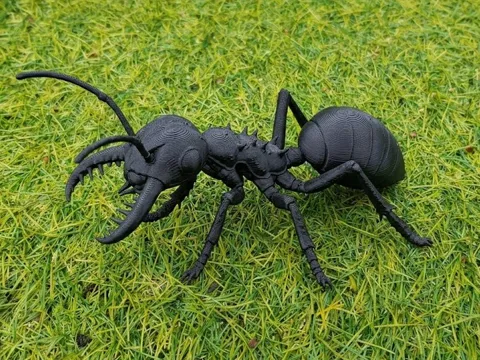 Adorno temático: Trap-Jaw Ant - Realistic Detailed Insect — referencia de MakerWorld