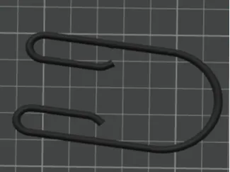 Dual Shower Curtain Hook