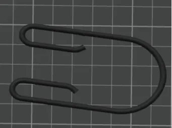 Dual Shower Curtain Hook