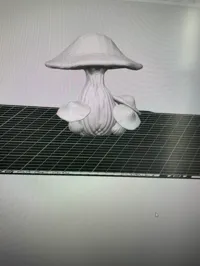 Champignons décoratifs — photo 2