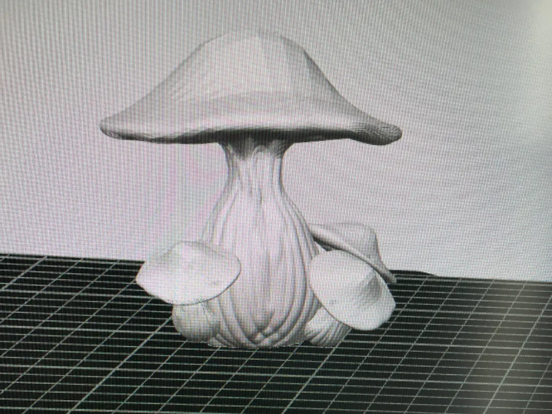 Champignons décoratifs