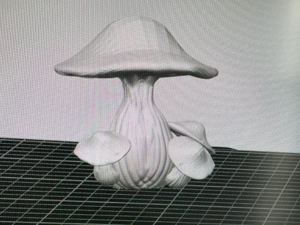 Champignons décoratifs