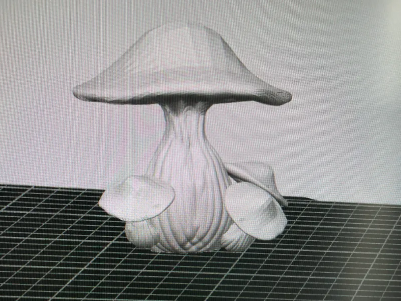 Mushrooms home decore
