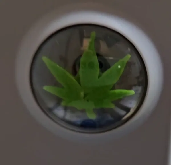https://makerworld.bblmw.com/makerworld/model/US72c6ff8fddae6b/design/2024-06-07_9995bde9078ad.png