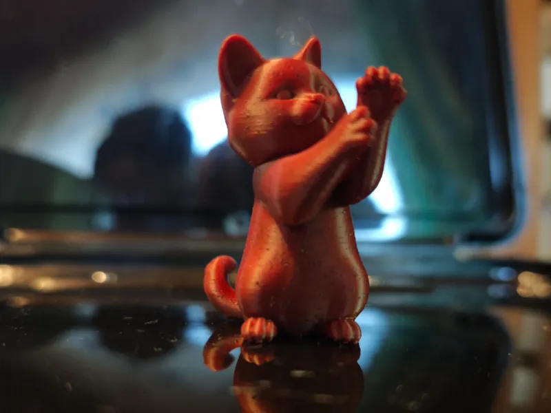 kocicka