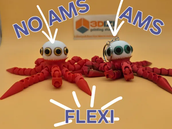 https://makerworld.bblmw.com/makerworld/model/US72d2ed42b92d8d/design/2025-09-11_761969c359b55.jpg