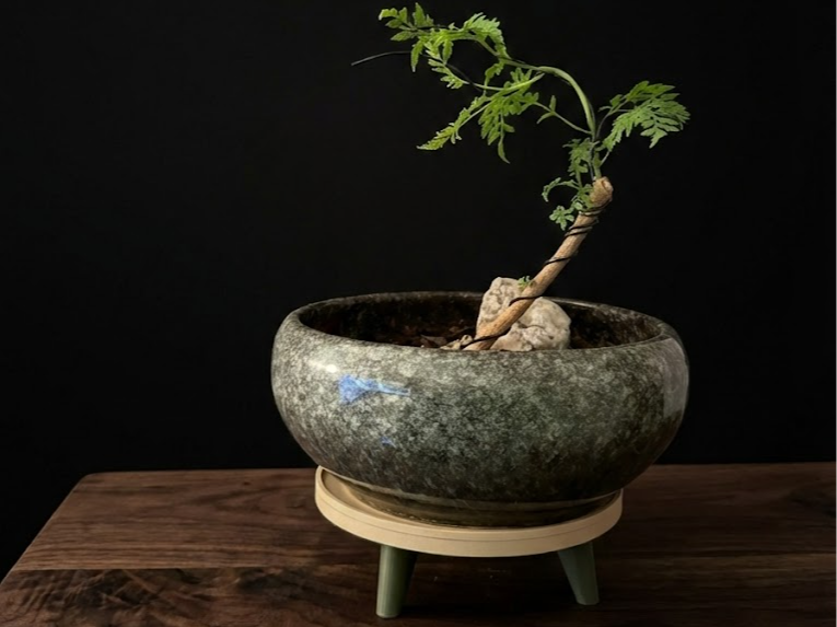 Round Bonsai Pot Stand