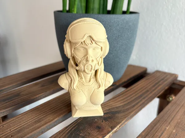 https://makerworld.bblmw.com/makerworld/model/US72efe78976bde1/design/2025-11-13_0341eef7b65f3.jpeg